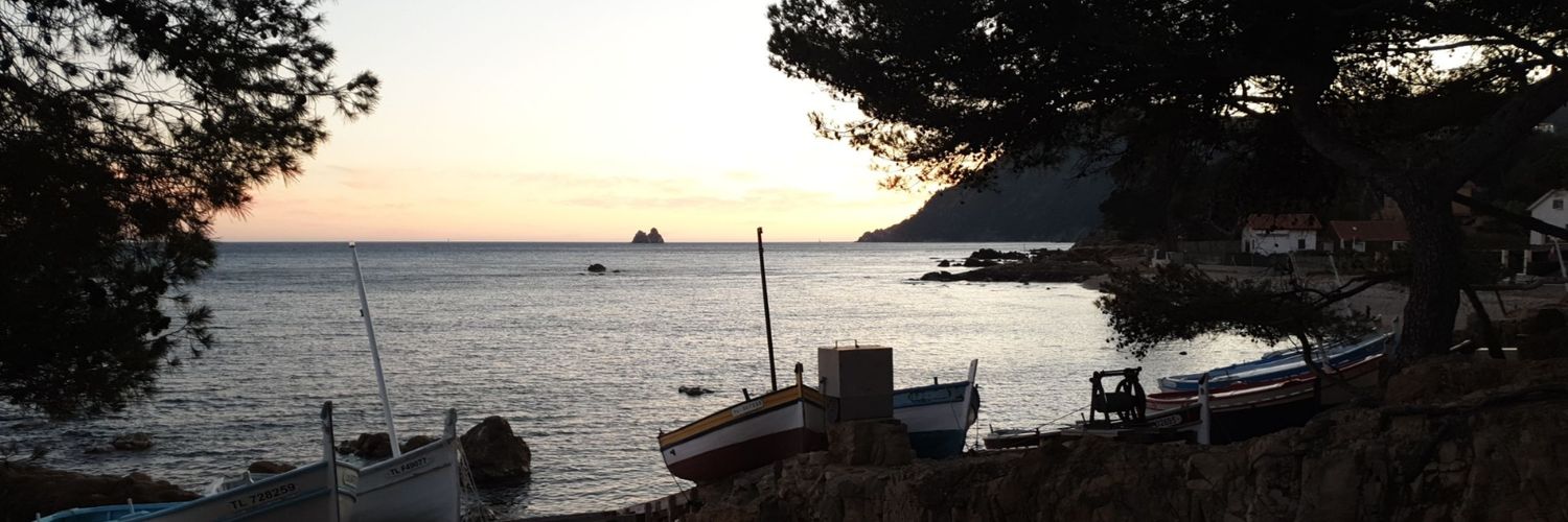 Beut_Lise's profile banner image