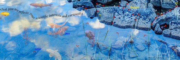 gaussian Profile Banner