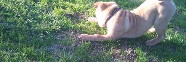 Cuando se van? banner