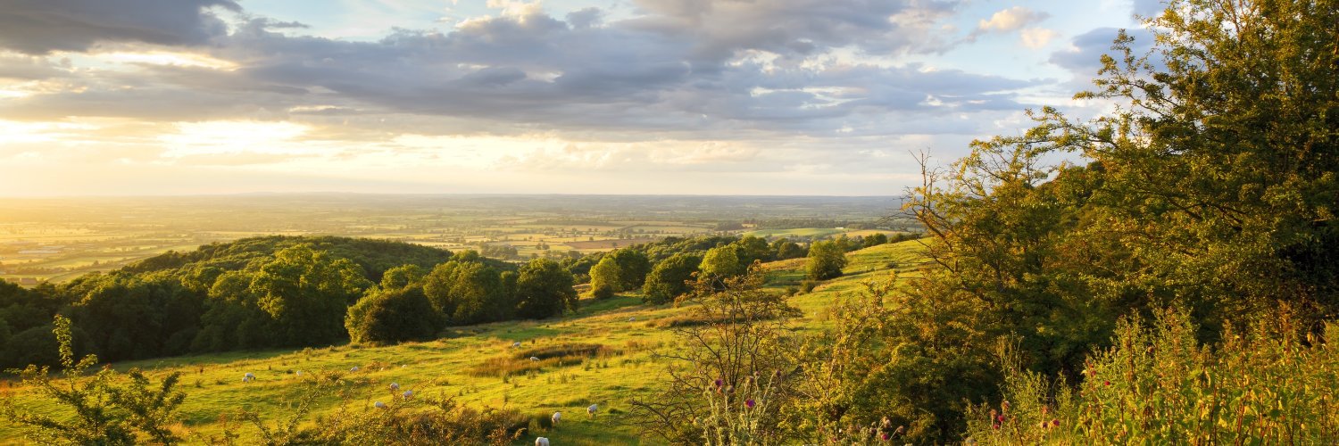 Craig Fuller Property banner