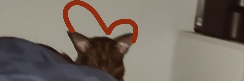 tay banner