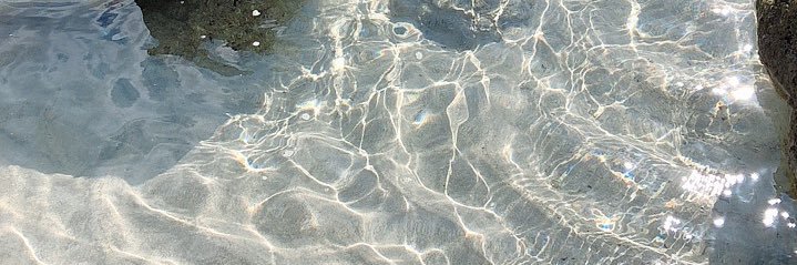 ミヤ ･:*+.\(( °ω° ))/.:+ banner