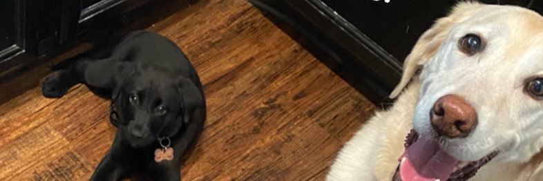 M_OB banner