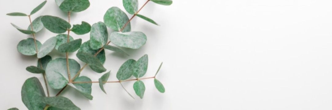 lotxx's profile banner image
