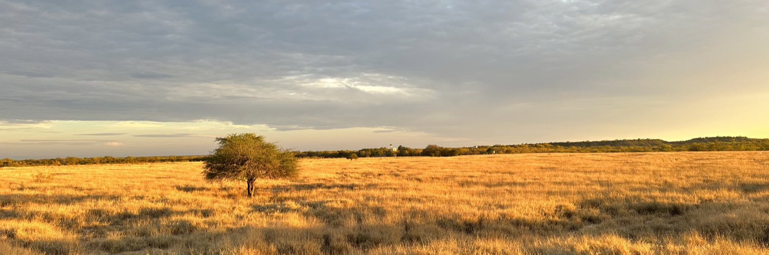 irvingsilva's profile banner image