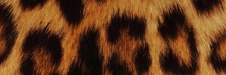 Tools29's profile banner image
