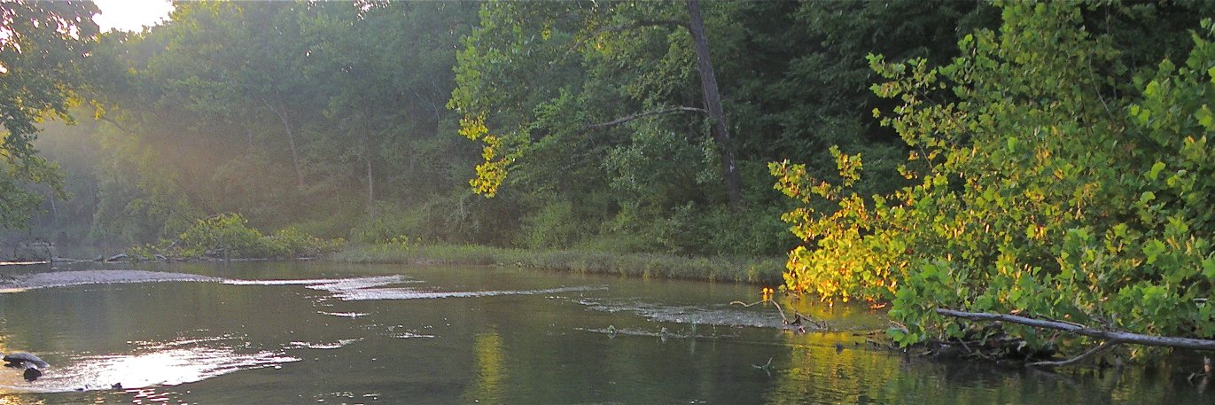 Forest Keeper banner