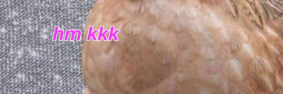luizbem's profile banner image