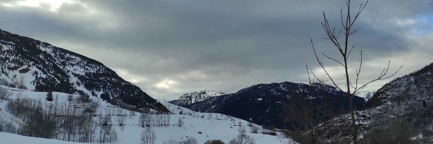 Boot/s and Book/s banner