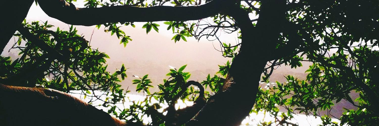 charsnewweb's profile banner image