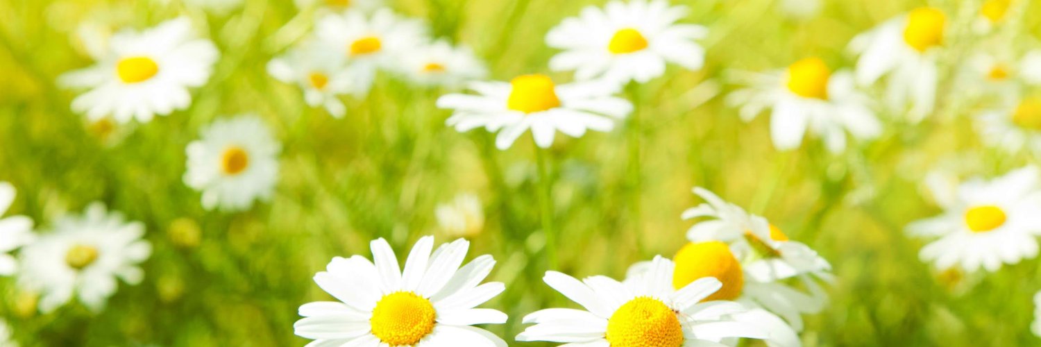 RealAGenius's profile banner image