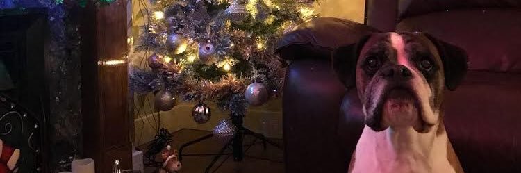 madixelizabethh's profile banner image