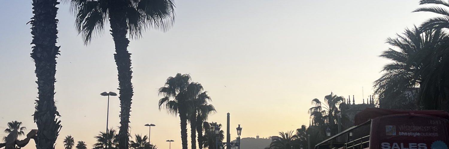zesdump's profile banner image