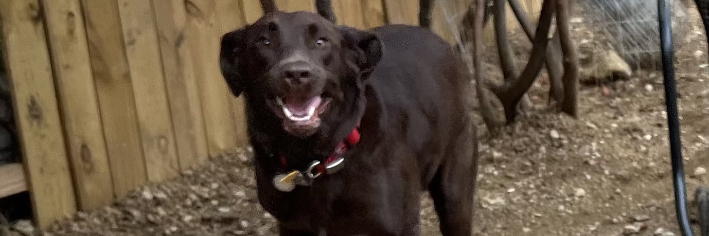 CharlesMynard's profile banner image