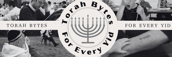torahbytes613 Profile Banner