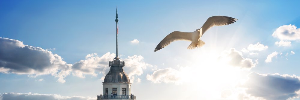 Meri🦋 banner
