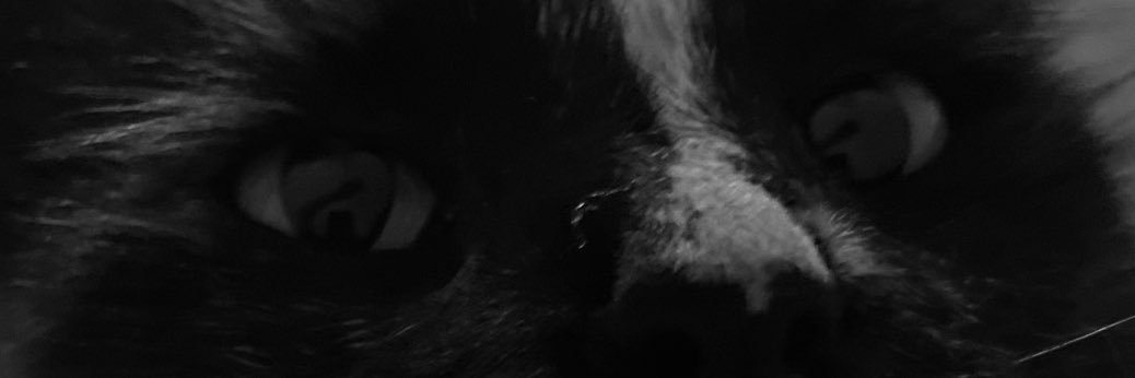 glorialipio's profile banner image