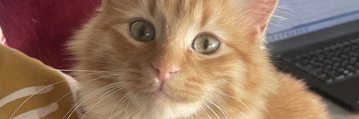 DuuGu's profile banner image