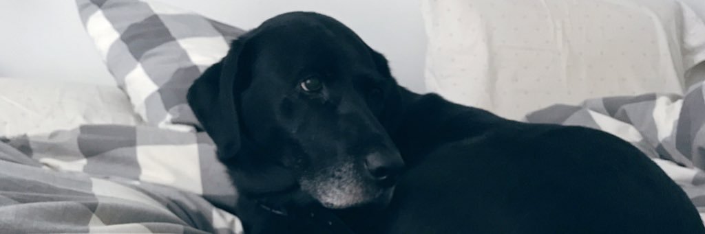 HannahFrances96's profile banner image