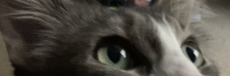 LuistheSwift's profile banner image