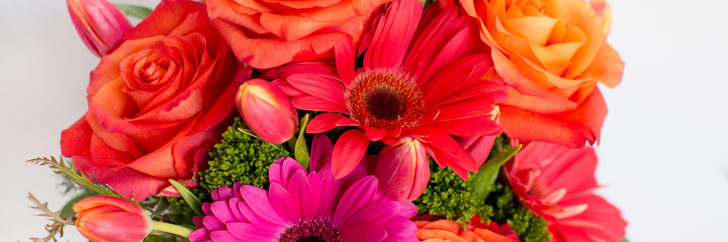 BloompopHQ's profile banner image