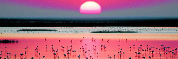 mariapg1980 Profile Banner