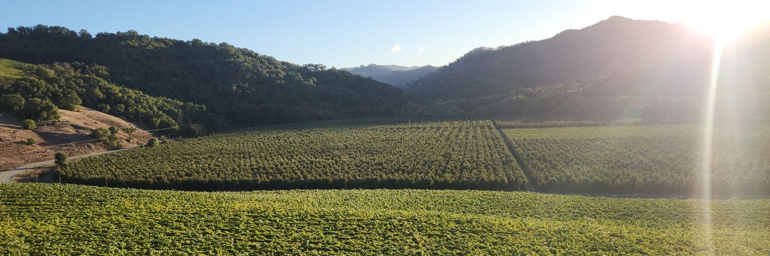 Rybo (NeverBrokeAgain_Dad) banner