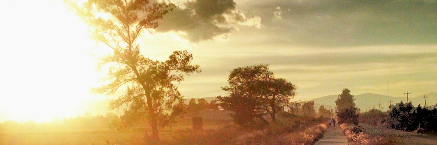 choLichoLii's profile banner image