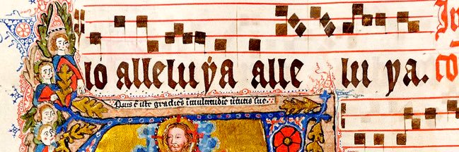 cake🇻🇦🇺🇸🕊️ banner