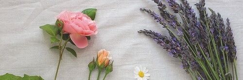 allwneedisFaith's profile banner image