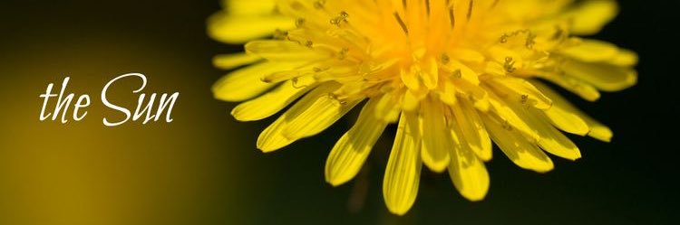 mrslightguardjp's profile banner image