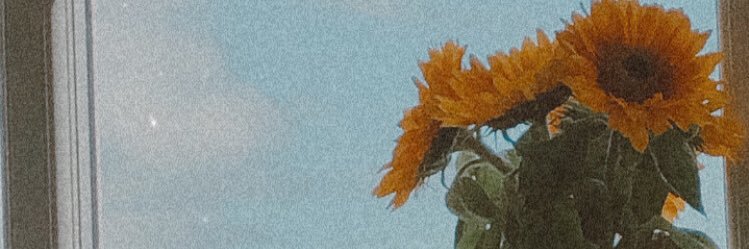 emmajohnson8396's profile banner image