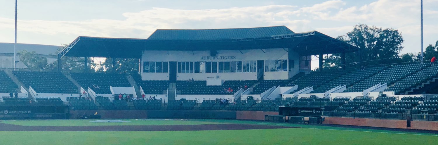 Scott Fillmer banner