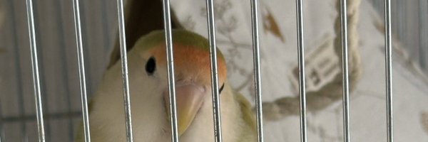 meg_1980 Profile Banner