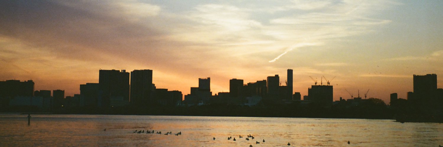 กอริลลาถือเก้าอี้ 🍤 banner