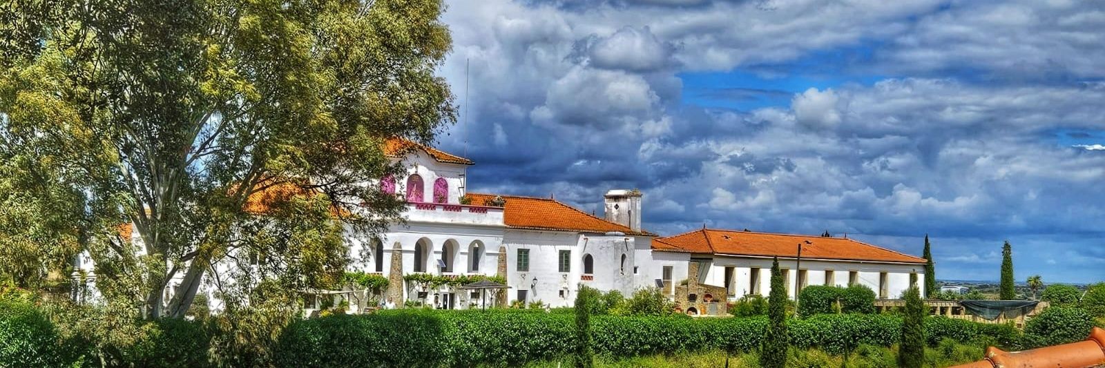 HFR - Wine Experiences & Memorable Events banner