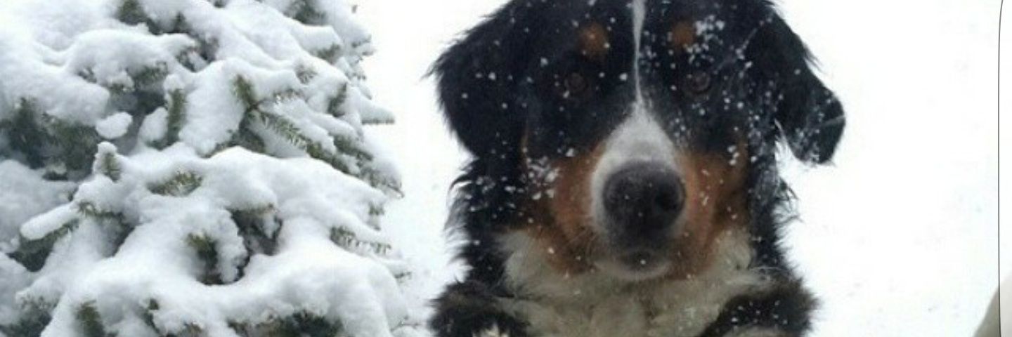 FHercules24's profile banner image