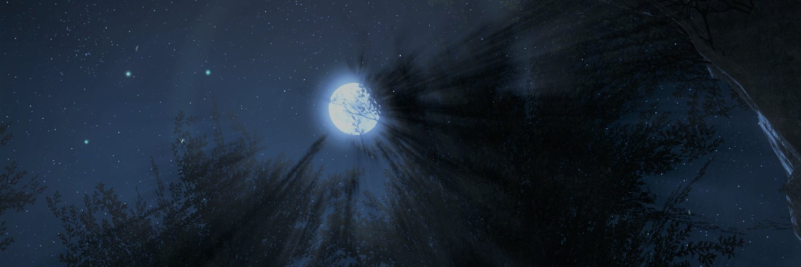 Tetra_A@hades banner