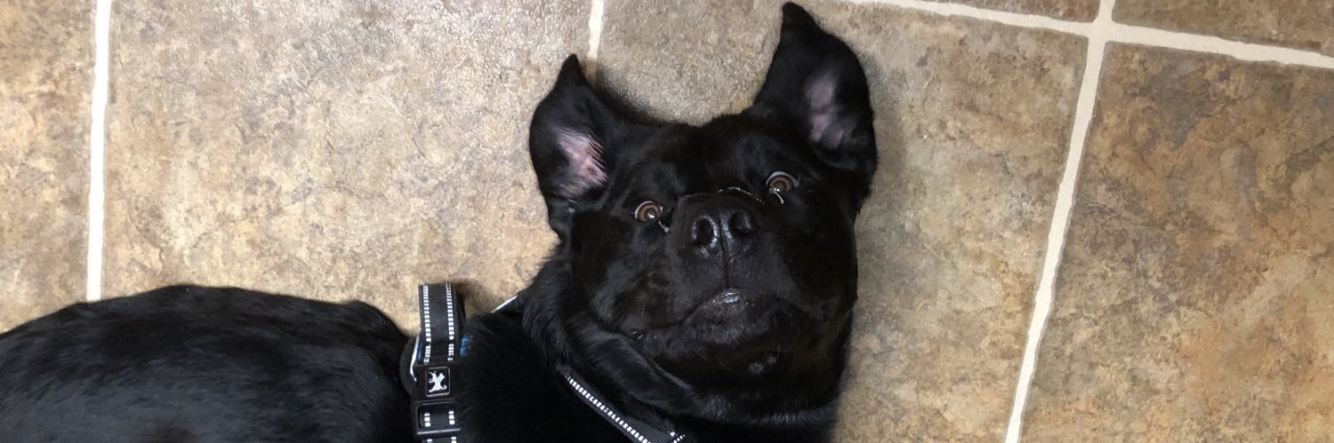 ZoeAnne44's profile banner image