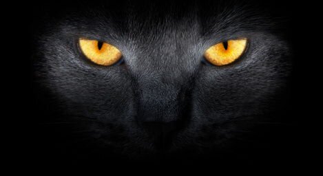 DavidGutii10's profile banner image