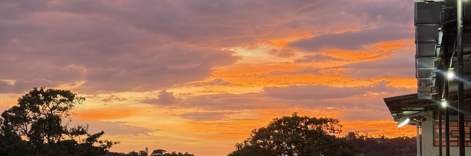 idaliapema's profile banner image