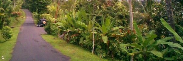 pnada7's profile banner image