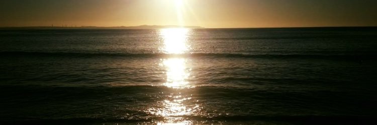 dlkp95's profile banner image