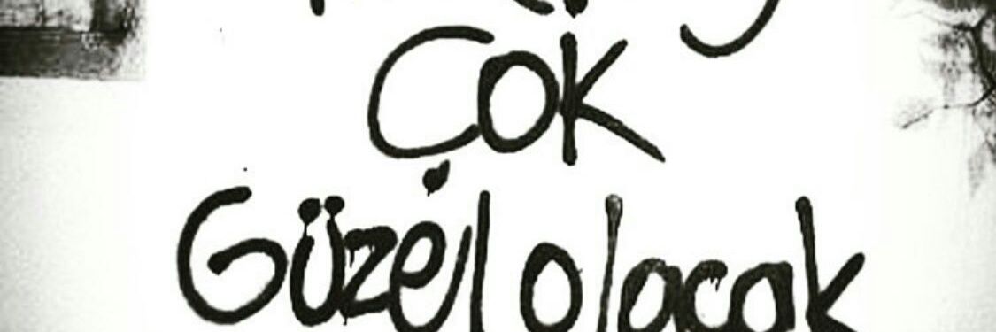 güliz ceylan banner