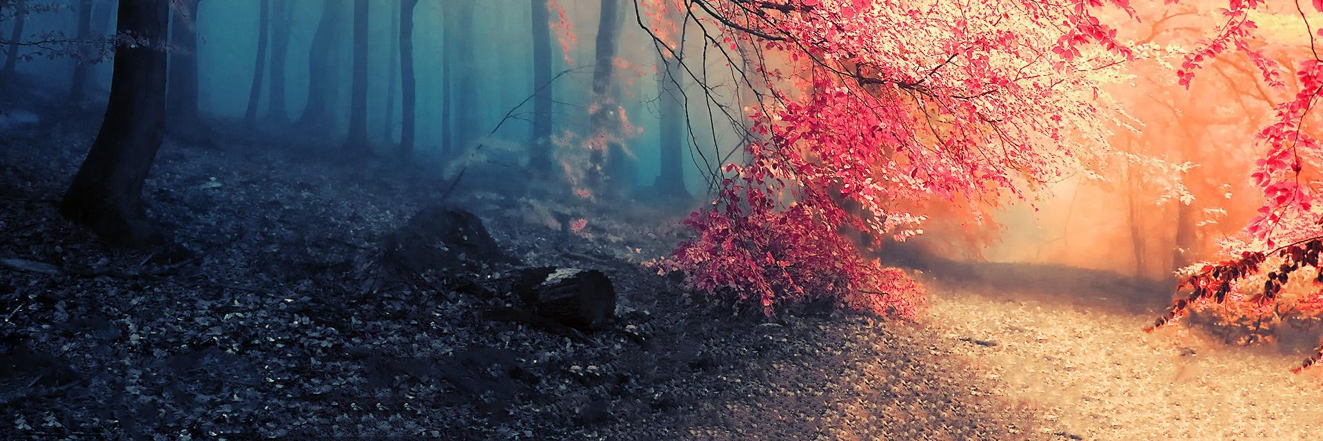 iceCreamSays's profile banner image