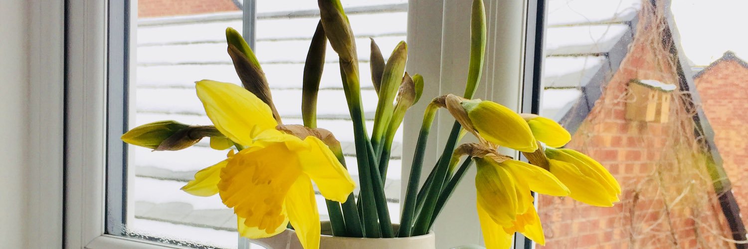 LauraAfterLoss's profile banner image