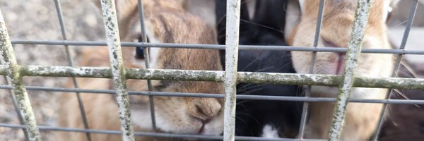 mitaka27160846 Profile Banner