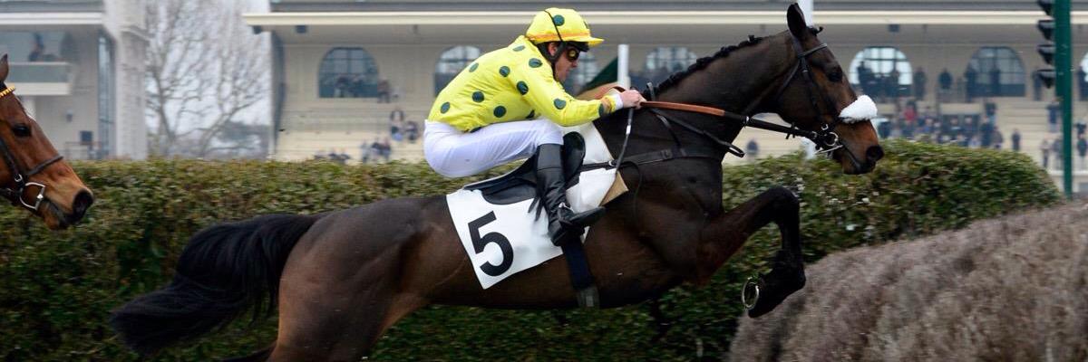 Benoit Gicquel banner