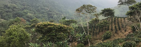 JonathonValente Profile Banner