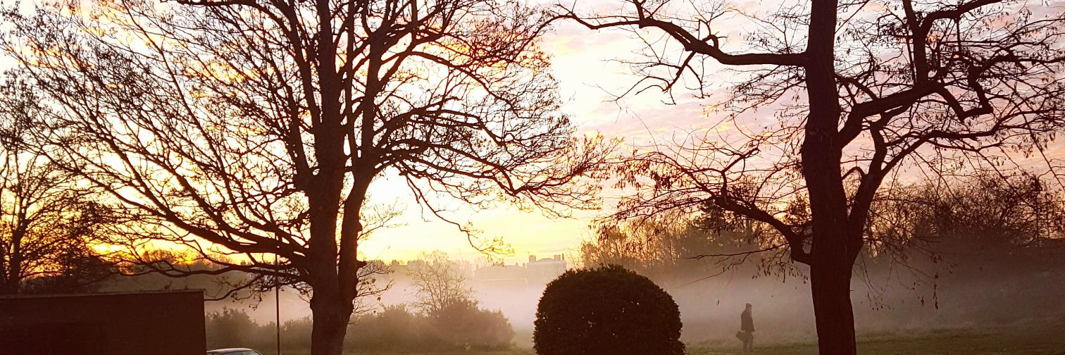 frankiessaaaa's profile banner image